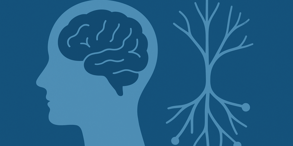 Stilisierte Darstellung eines Kopfes mit Gehirn und daneben eine stilisierte Darstellung von Neuronen bei der Informationsübertragung, in Blautönen