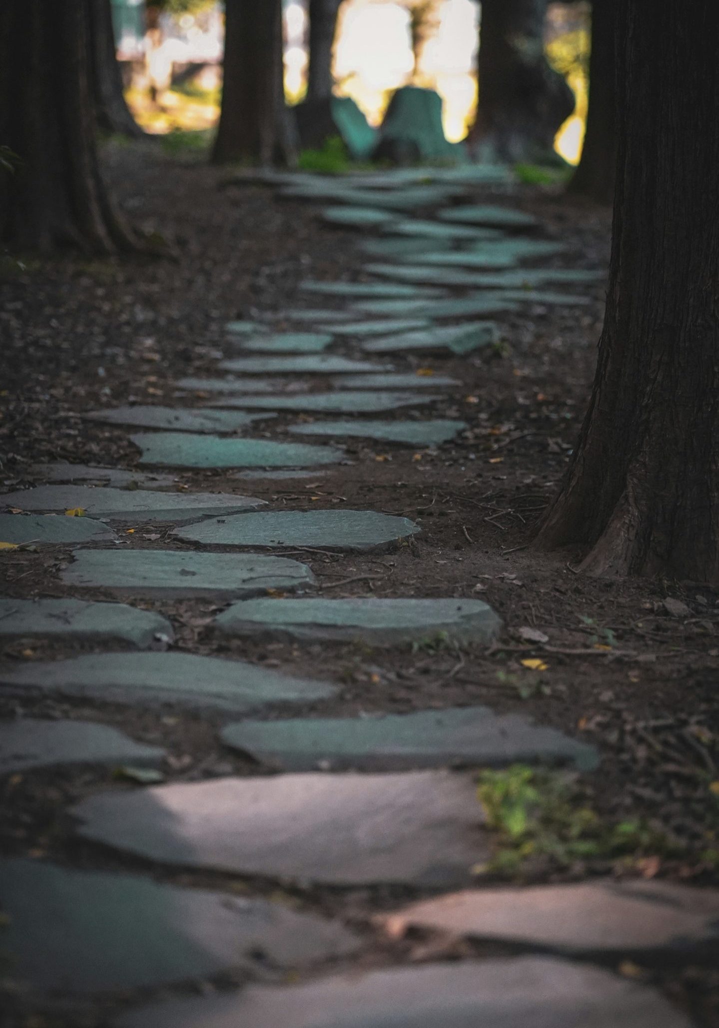 data-lore-cFrJktLH5uI-unsplash