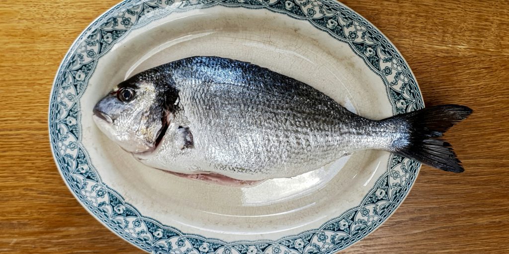 henry-perks-ThwSJkPjkW8-unsplash(1)