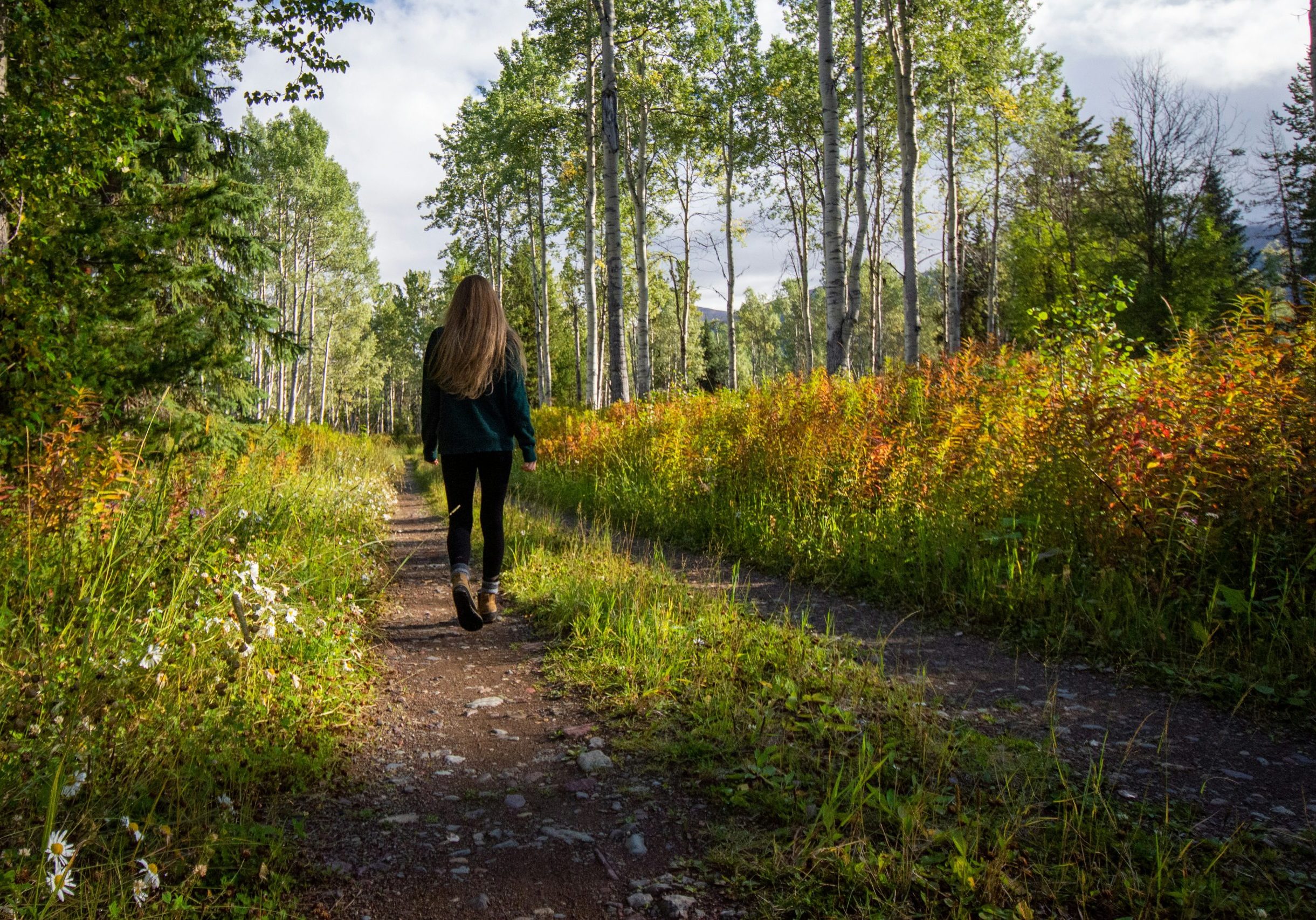 ladyfern-photos-umq8NBq2If8-unsplash