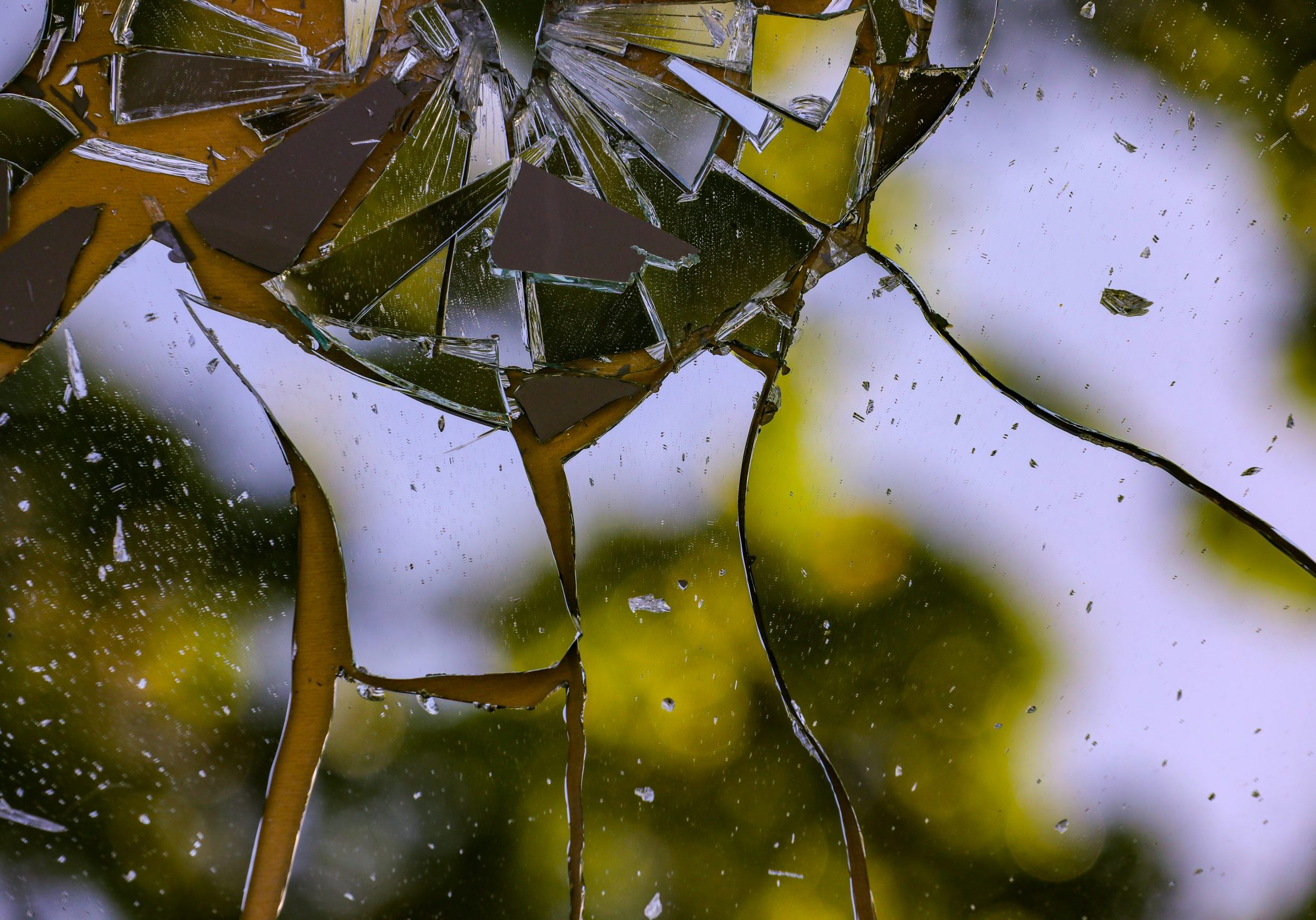 mick-haupt-cuZllRxZrr8-unsplash