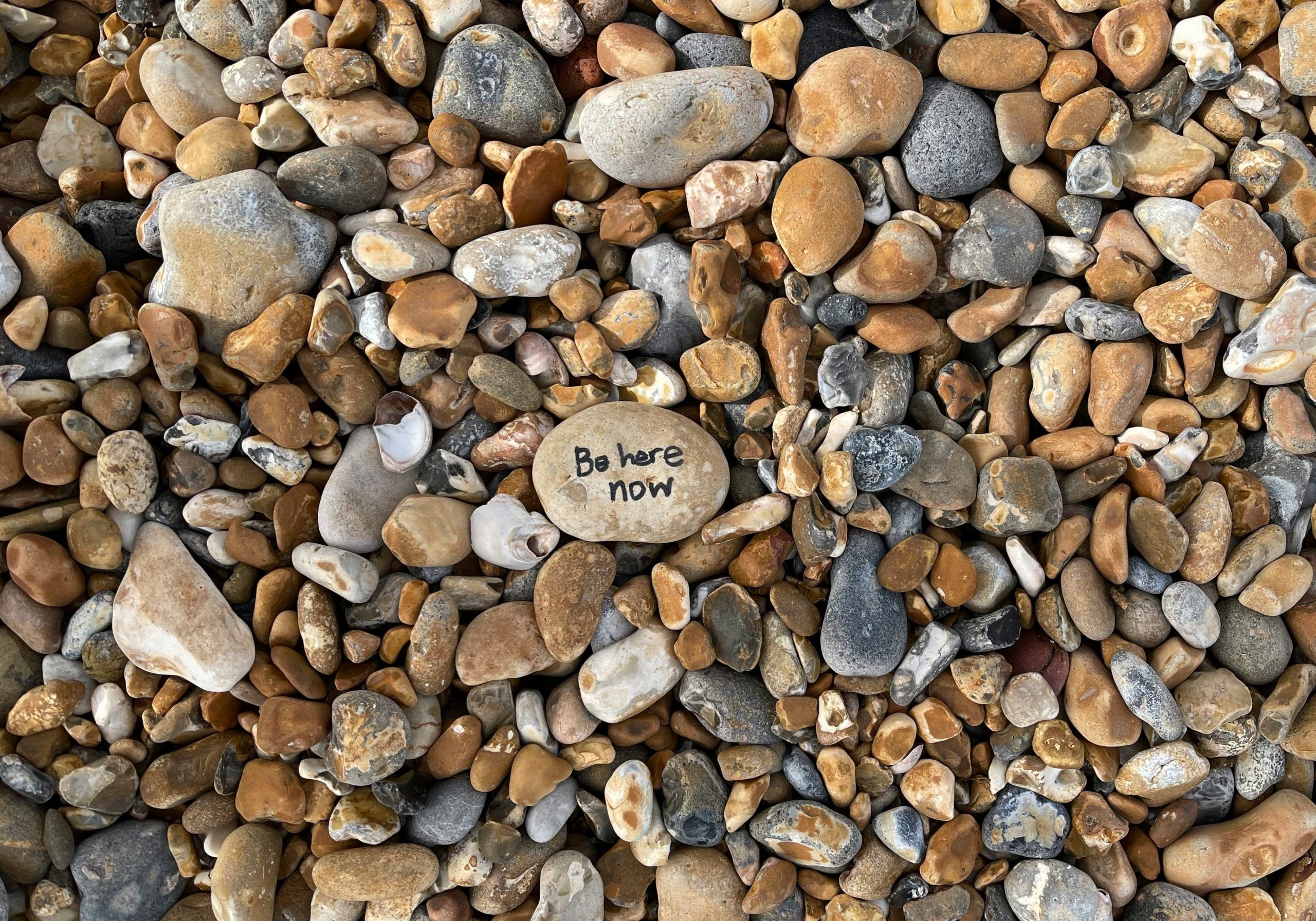 shantanu-kulkarni-hvdKJ9aiSUc-unsplash