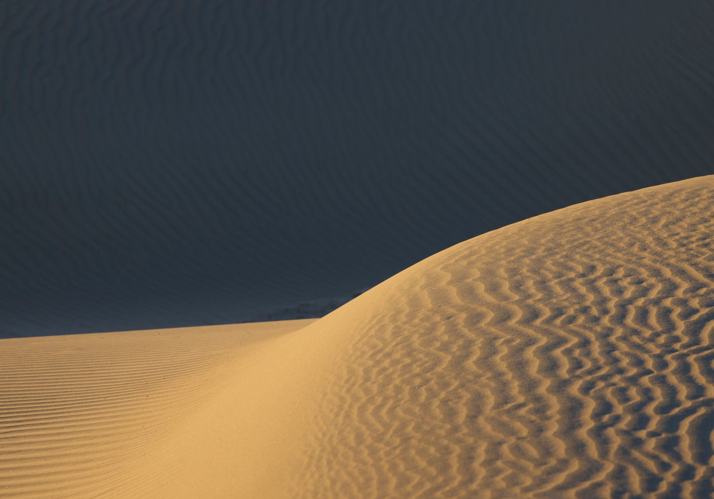 steve-gribble-86m1KnvH_Pg-unsplash